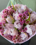 Blush Peony Tulip Whisper