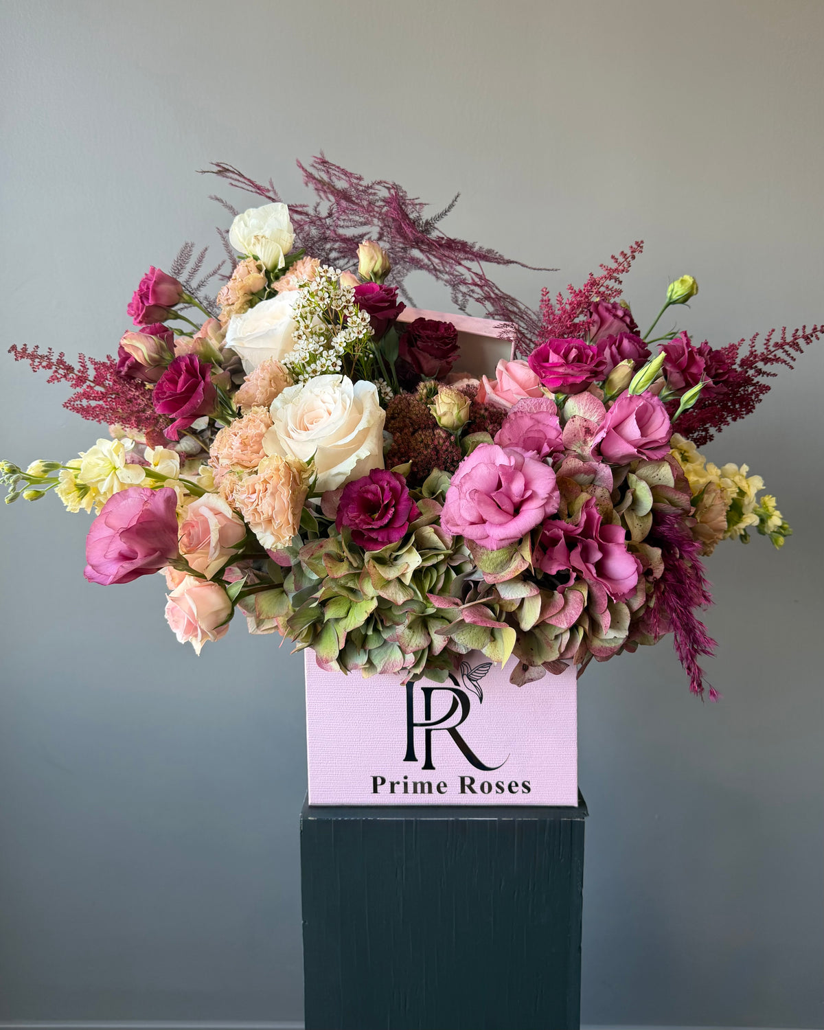 Warm Blooms
