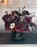 Black Velvet Roses