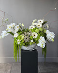 Luxury White Orchid & Lime Green Hydrangea Floral Arrangement