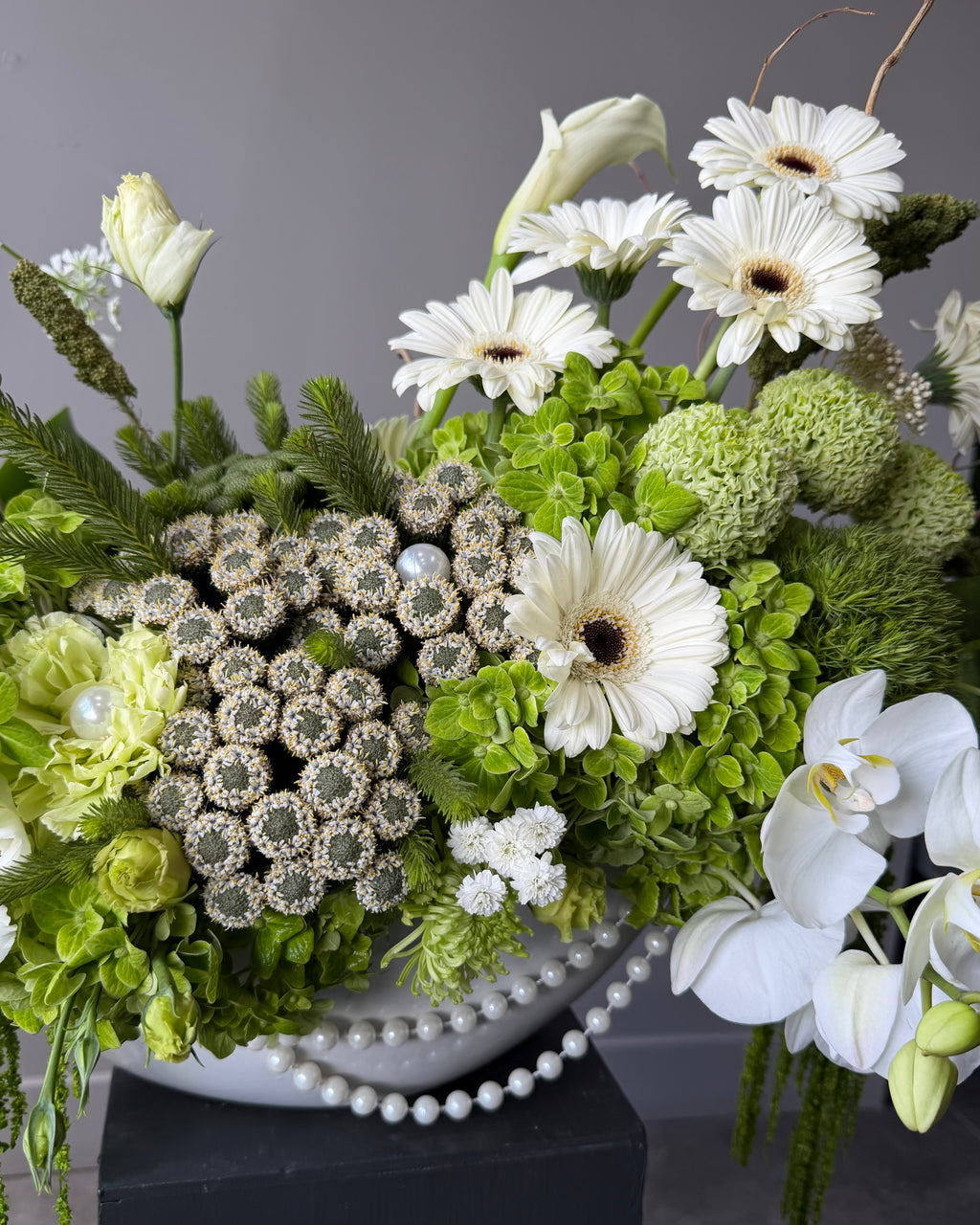 Luxury White Orchid & Lime Green Hydrangea Floral Arrangement