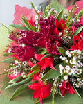 Crimson Fringe Tulip Bouquet