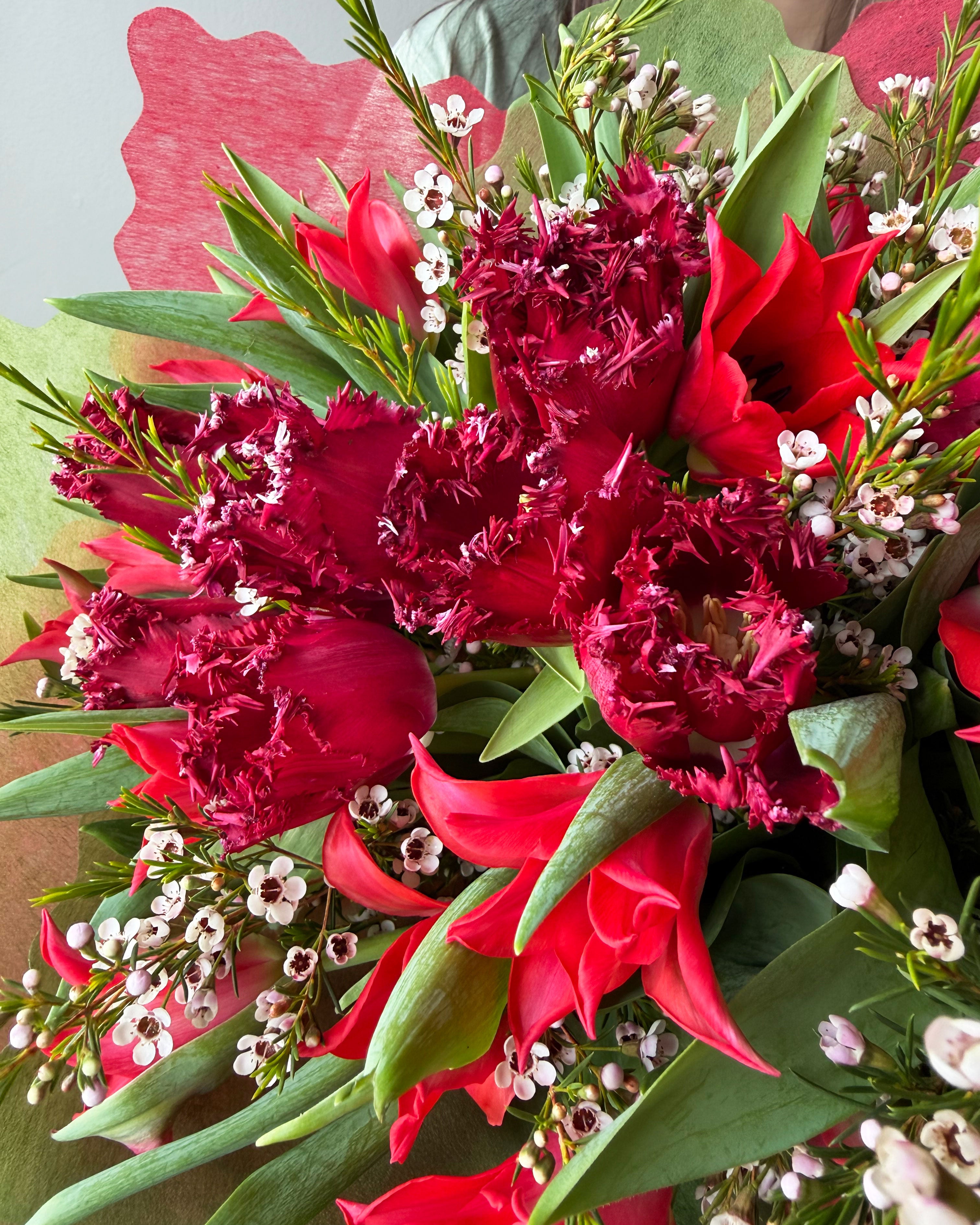 Crimson Fringe Tulip Bouquet