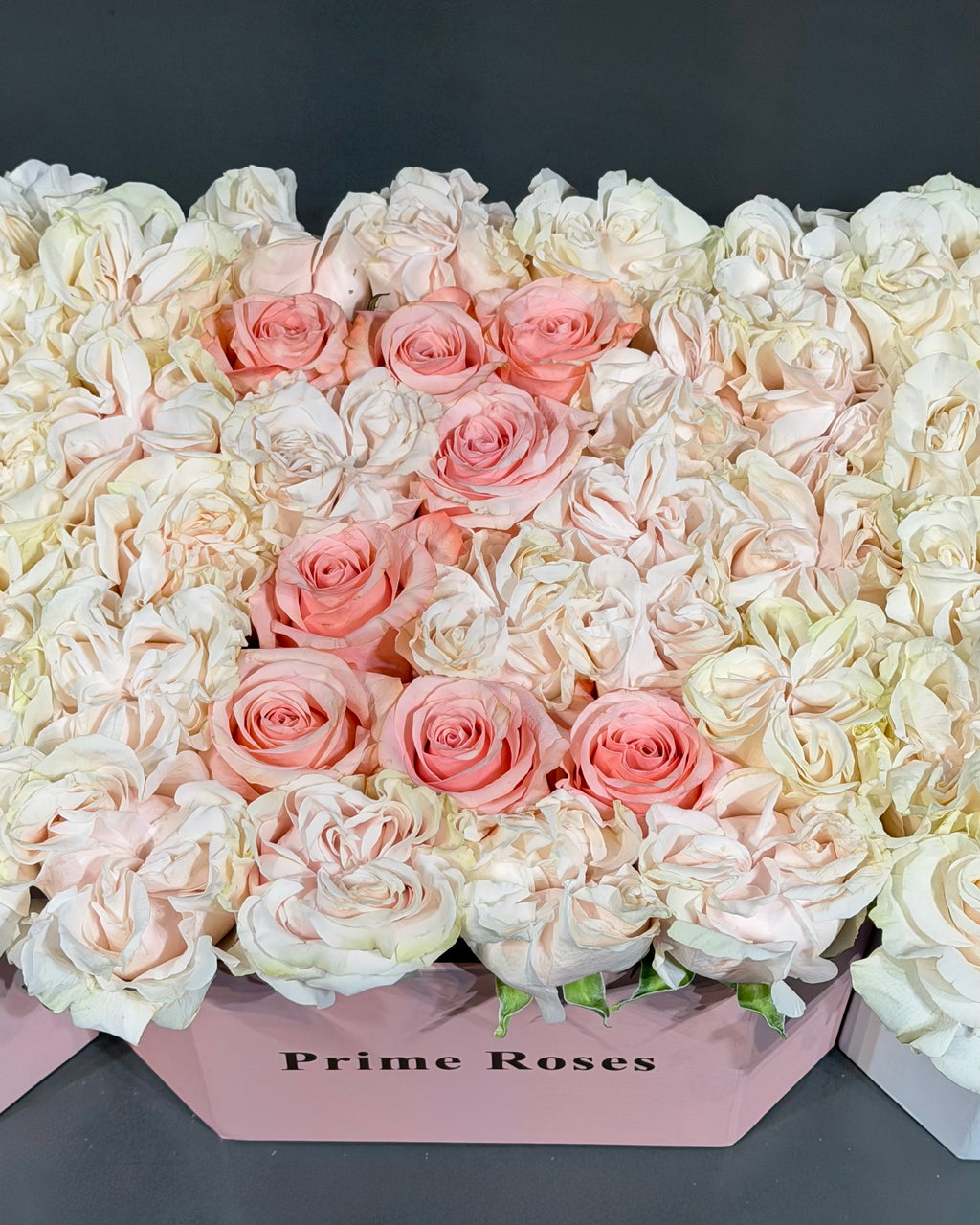 Premium Letter Box