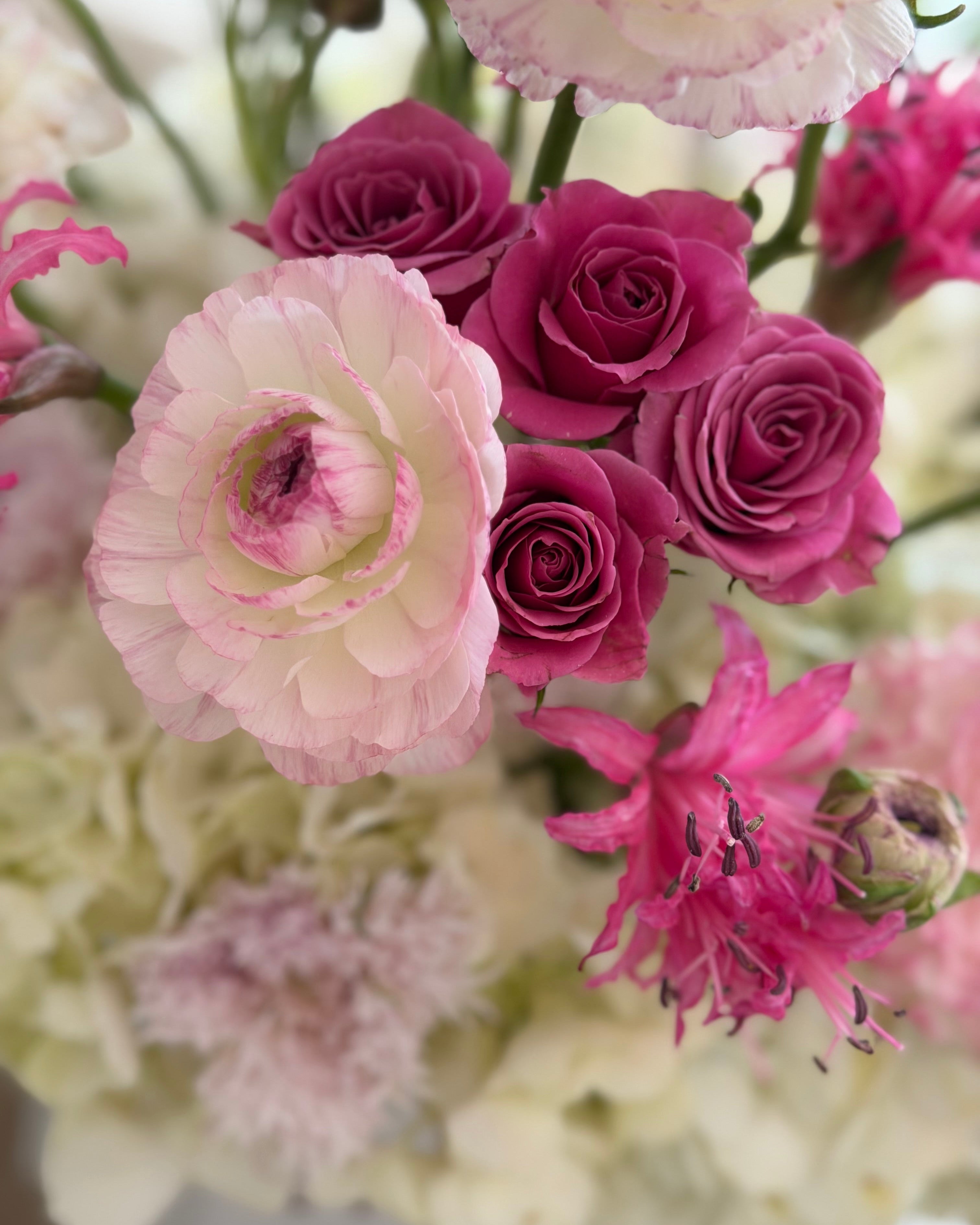 Petal Sorbet Box