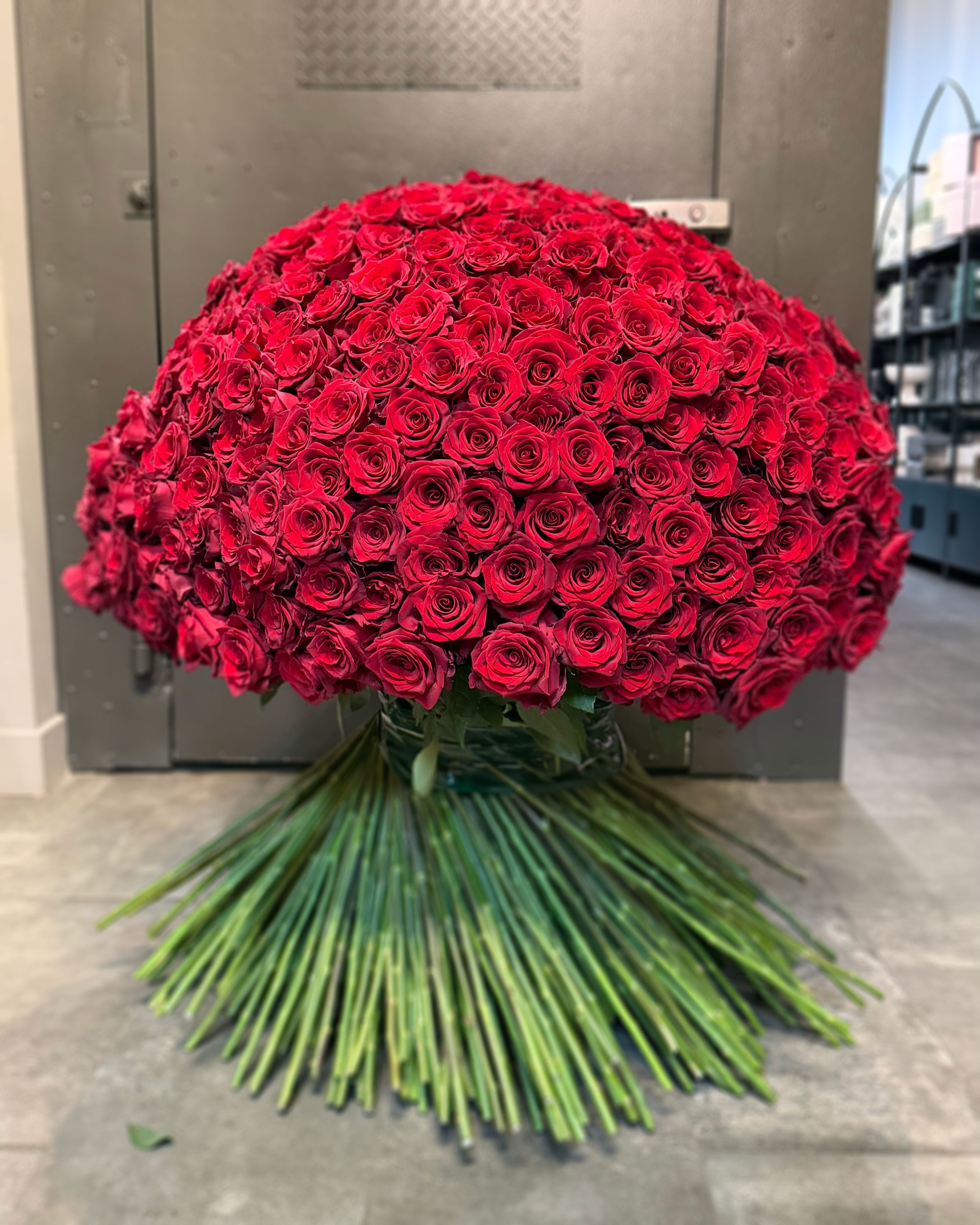 Imperial  Red Premium Roses 1 meter