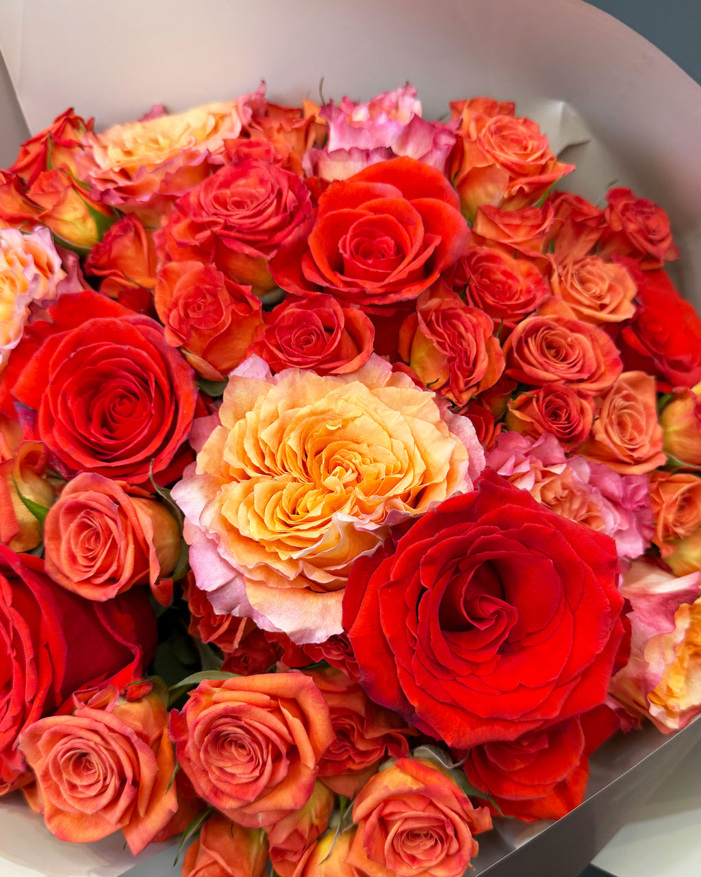 Sunset Flame Roses