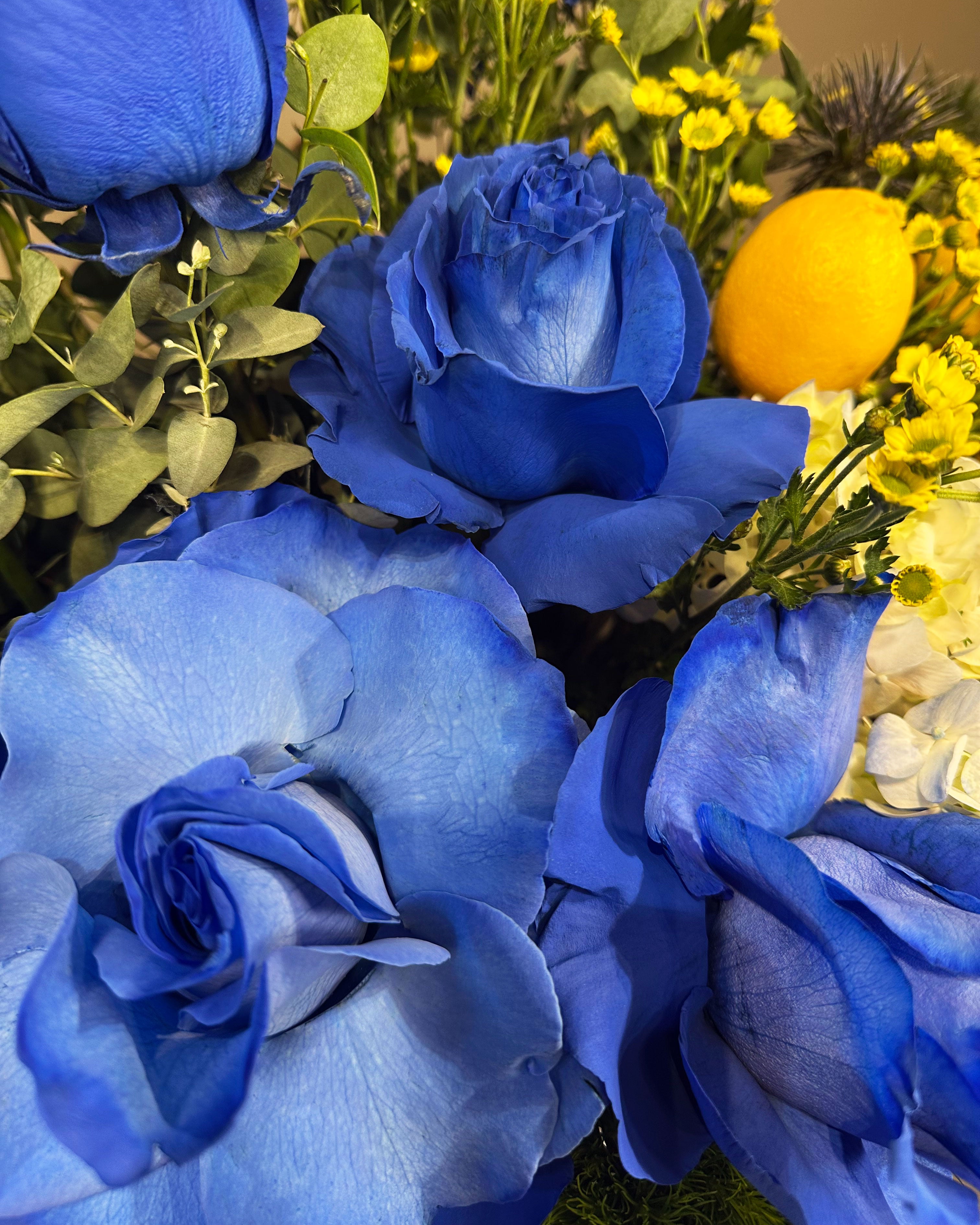 Lemon Kiss Blue Roses
