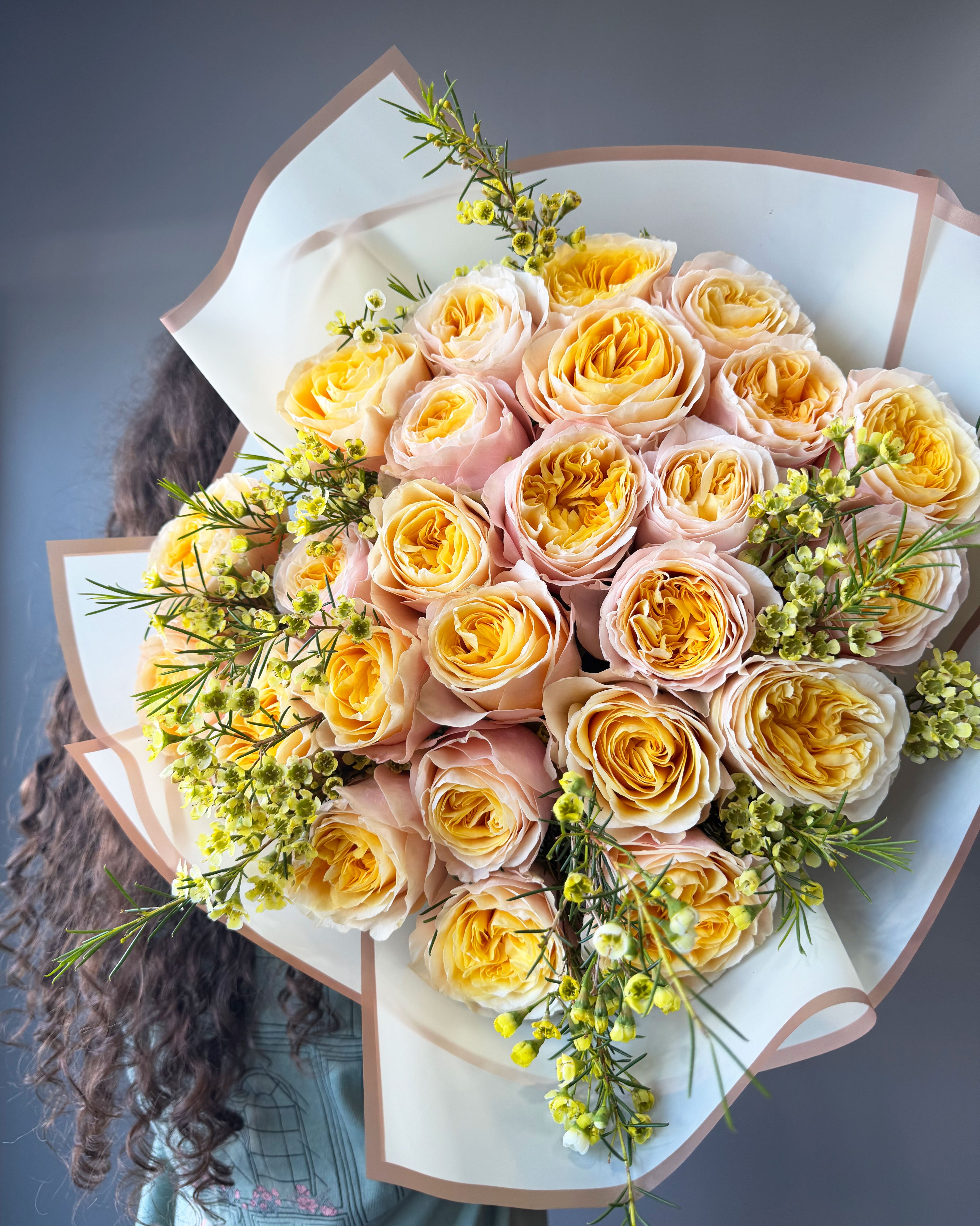 Golden Champagne Garden Roses
