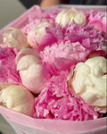 Blush Peony Cloud Bouquet