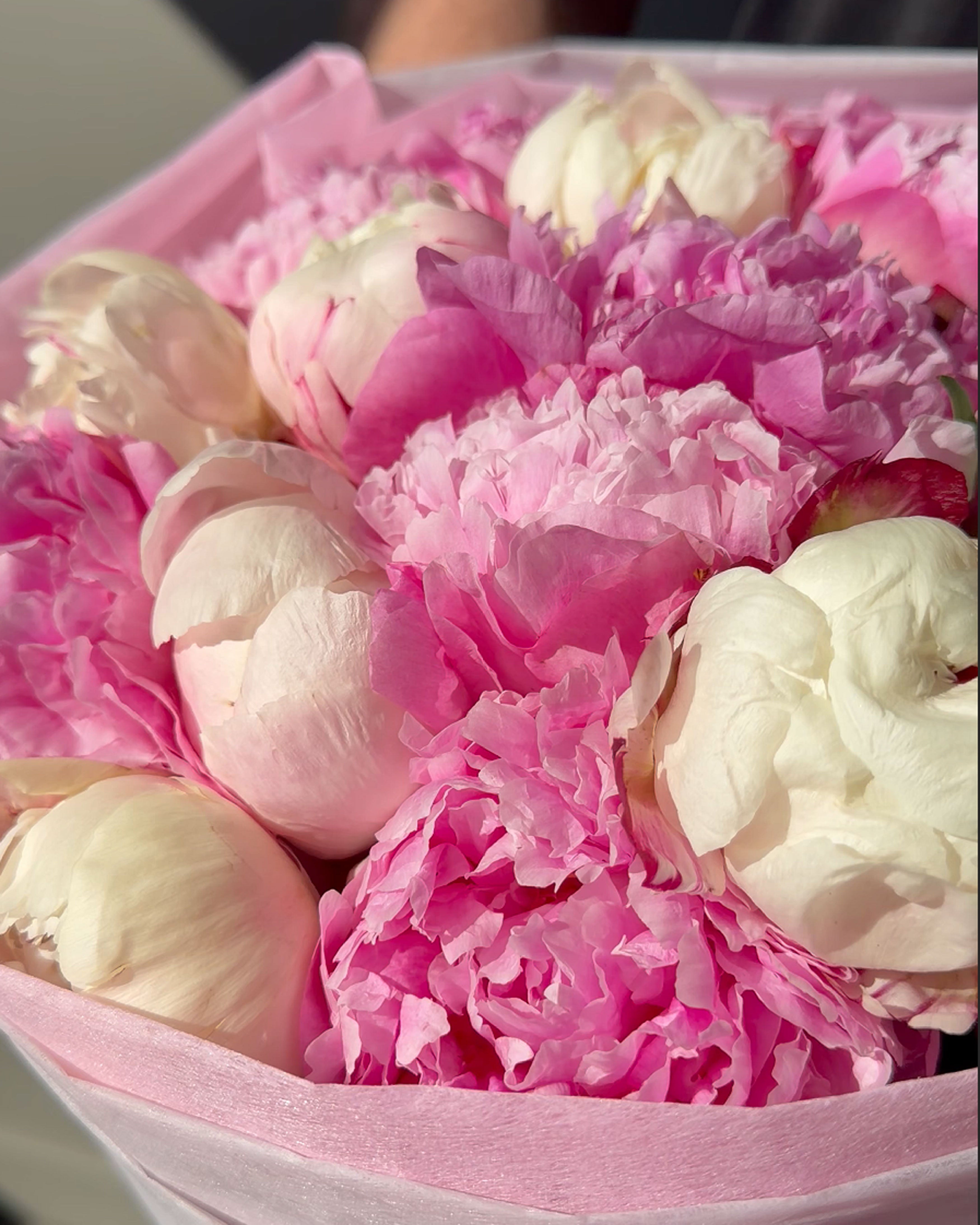 Blush Peony Cloud Bouquet