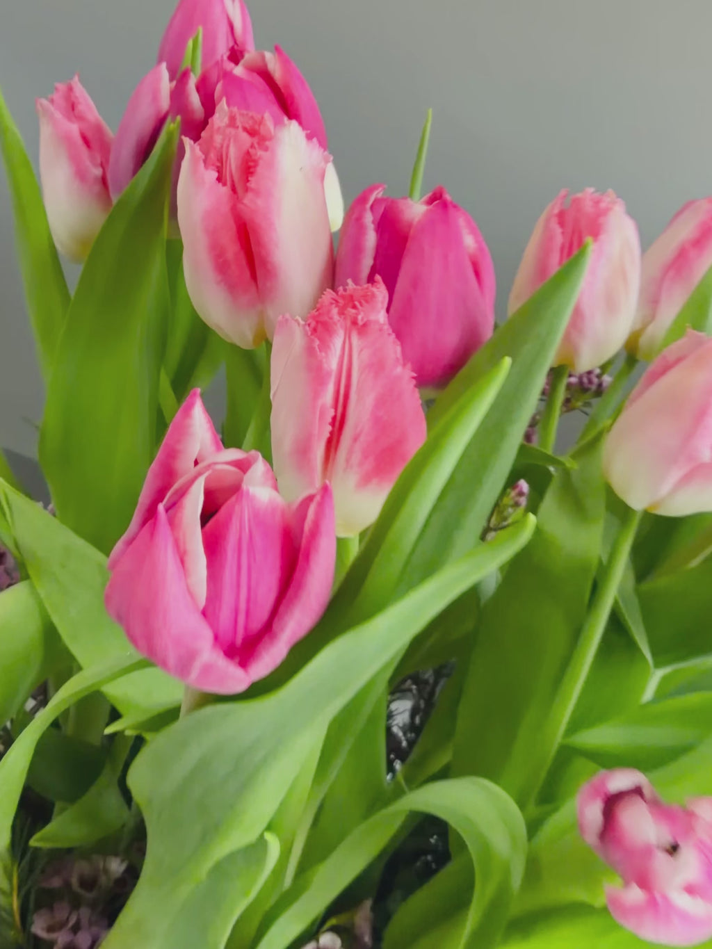 Tulip Basket