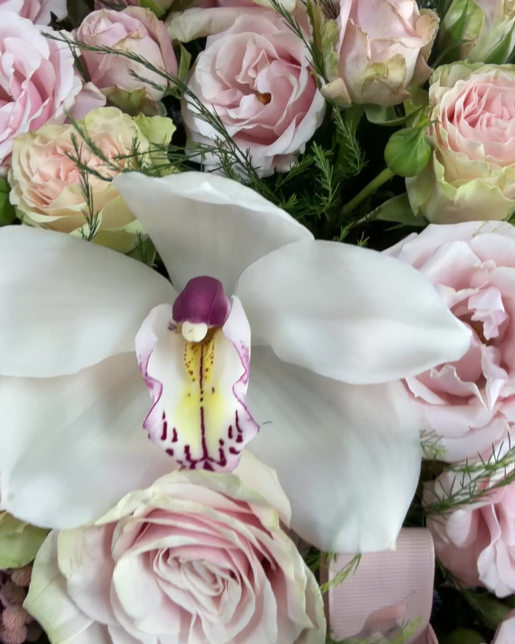 Rosé Grandiflora Box
