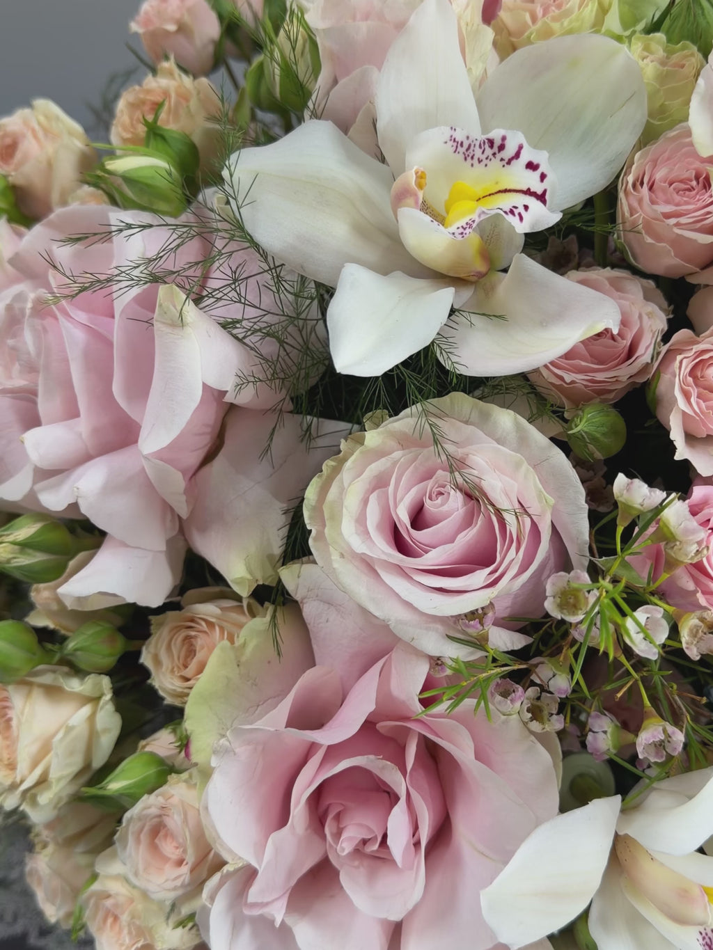 Rosé Grandiflora Box