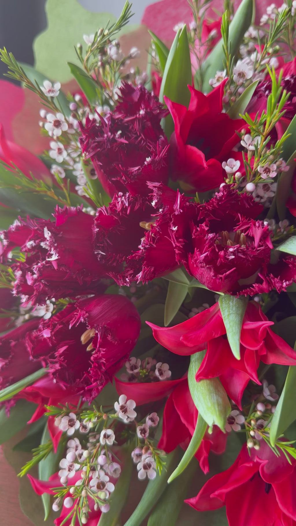 Crimson Fringe Tulip Bouquet