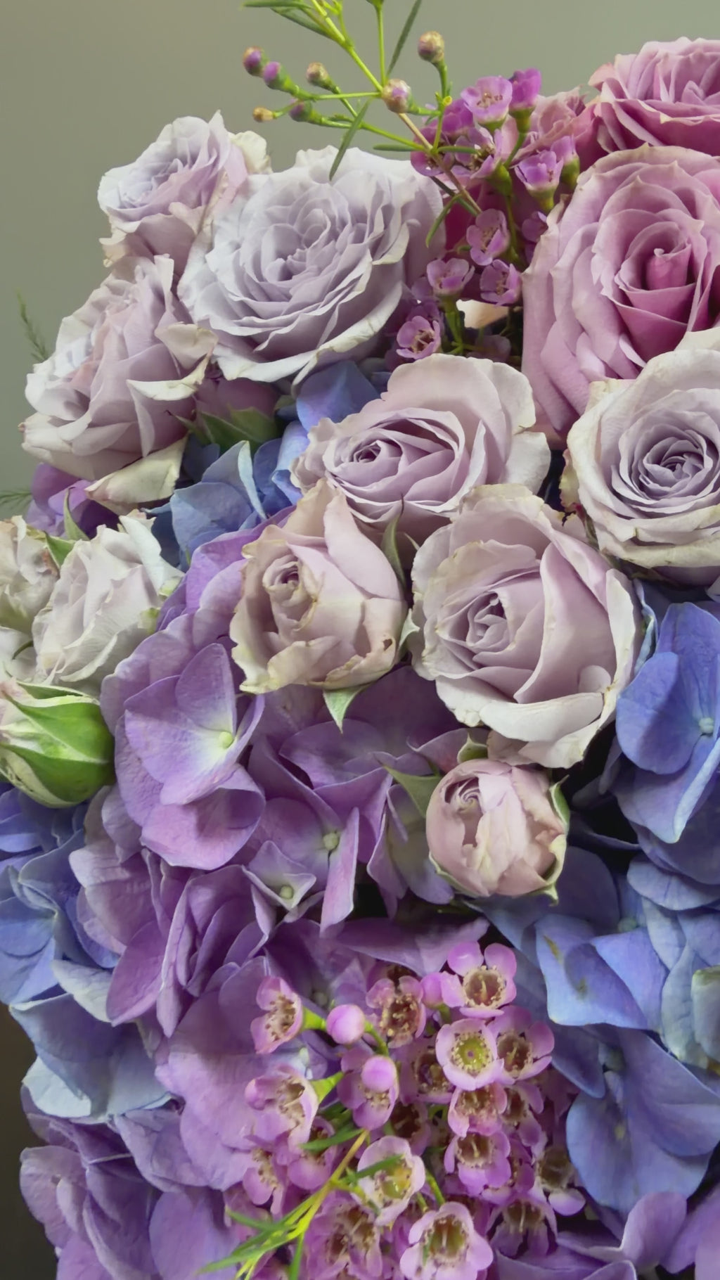 Lavender Opulence Big Box