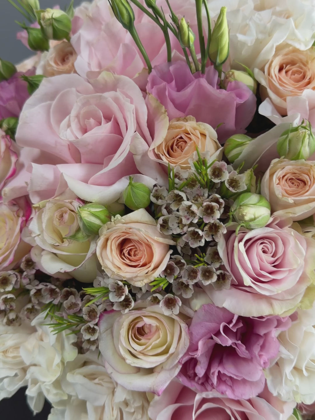 Rosé Grandiflora Box